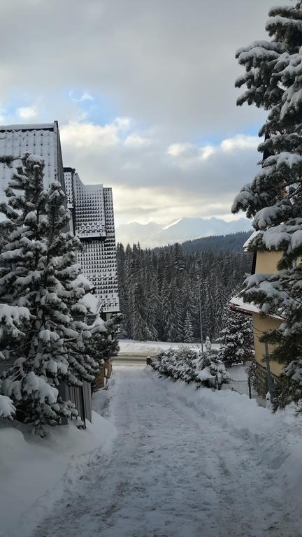 U Siebie W Gorach II Apartment บุโควินา ทัตซานสกา ภายนอก รูปภาพ
